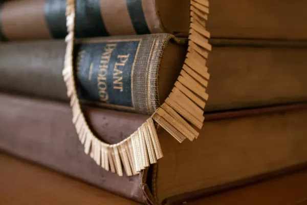 USPTO: AI Systems Will Be Treated as Tools, Not Collaborators